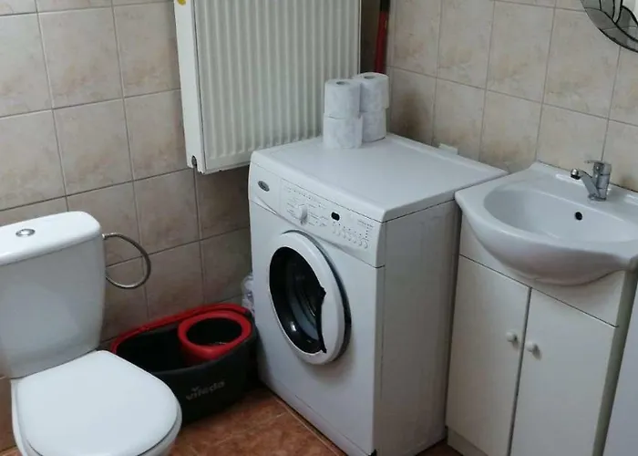 公寓 Plazowy 莱鲍